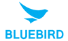 Bluebird